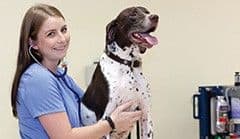 Vet Tech Student with Dog in Clinical Setting