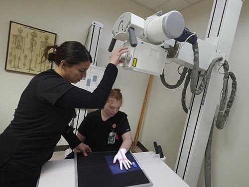 X-ray technician demonstrating radiography procedures with digital imaging equipment.