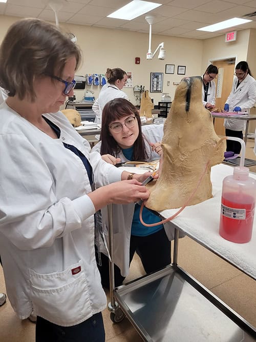 Highly skilled veterinary technology students working with animal models in educational lab.