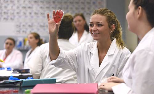Environmental Science laboratory activity at Pensacola State College.