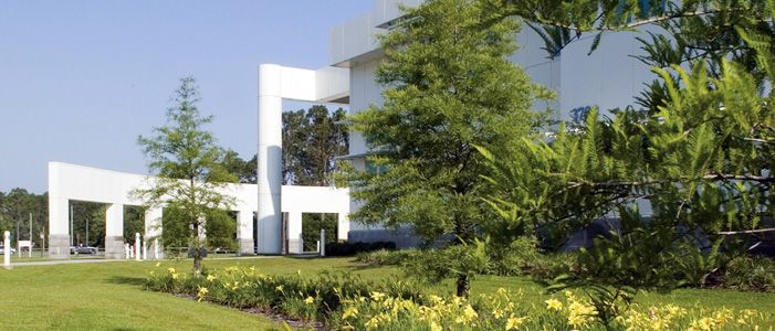 Modern nursing education facility with lush landscaping and contemporary architecture.