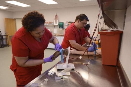 Highly skilled students practicing blood collection techniques in a clinical lab setting.