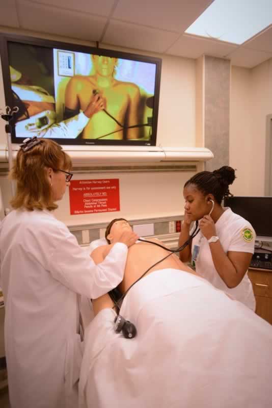 Medical students practicing patient assessment during health career fair at PSC Warrington.