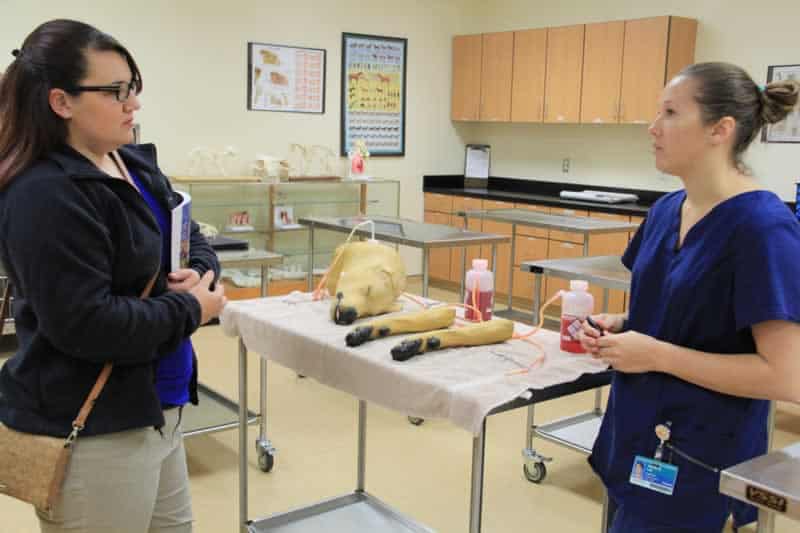 Vet Tech program open house showcasing hands-on animal care training.