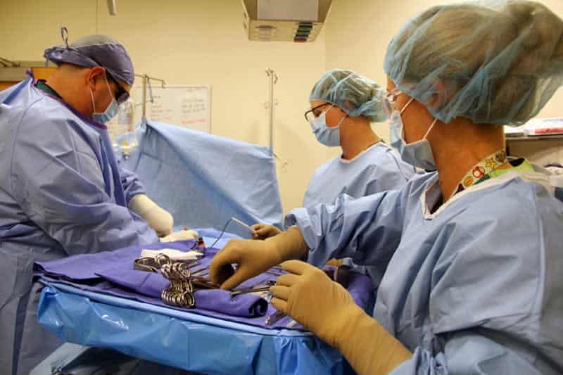 Highly skilled surgical technology students performing practice procedures in a clinical training en.