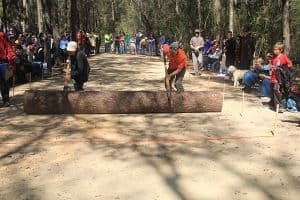 Lumberjack Festival log cutting event with participants and spectators in a wooded outdoor setting.
