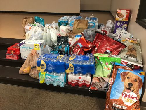 Pet supplies donation collection for student support programs at Pensacola State College.