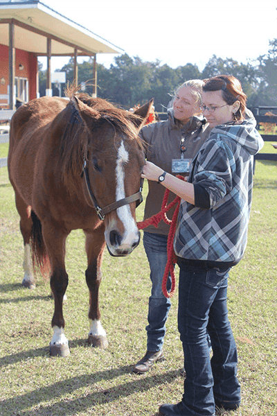 Accessible, engaging equine therapy session for students with disabilities at Pensacola State Colleg.