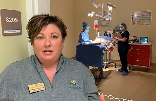 Veterinary technology students demonstrate skills in a simulated hospital environment at Pensacola S.