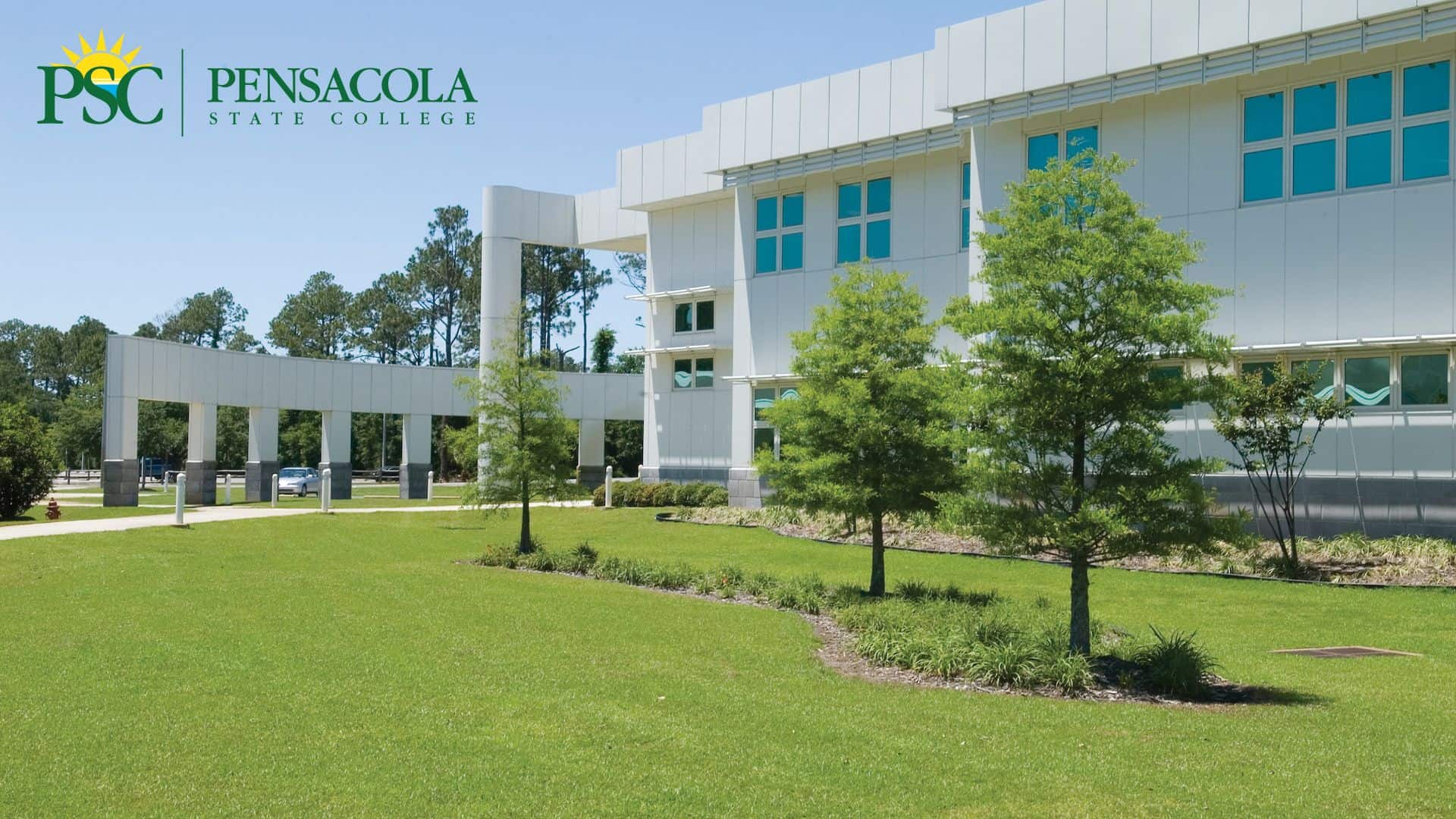 Bright, contemporary campus architecture with trees and open spaces.