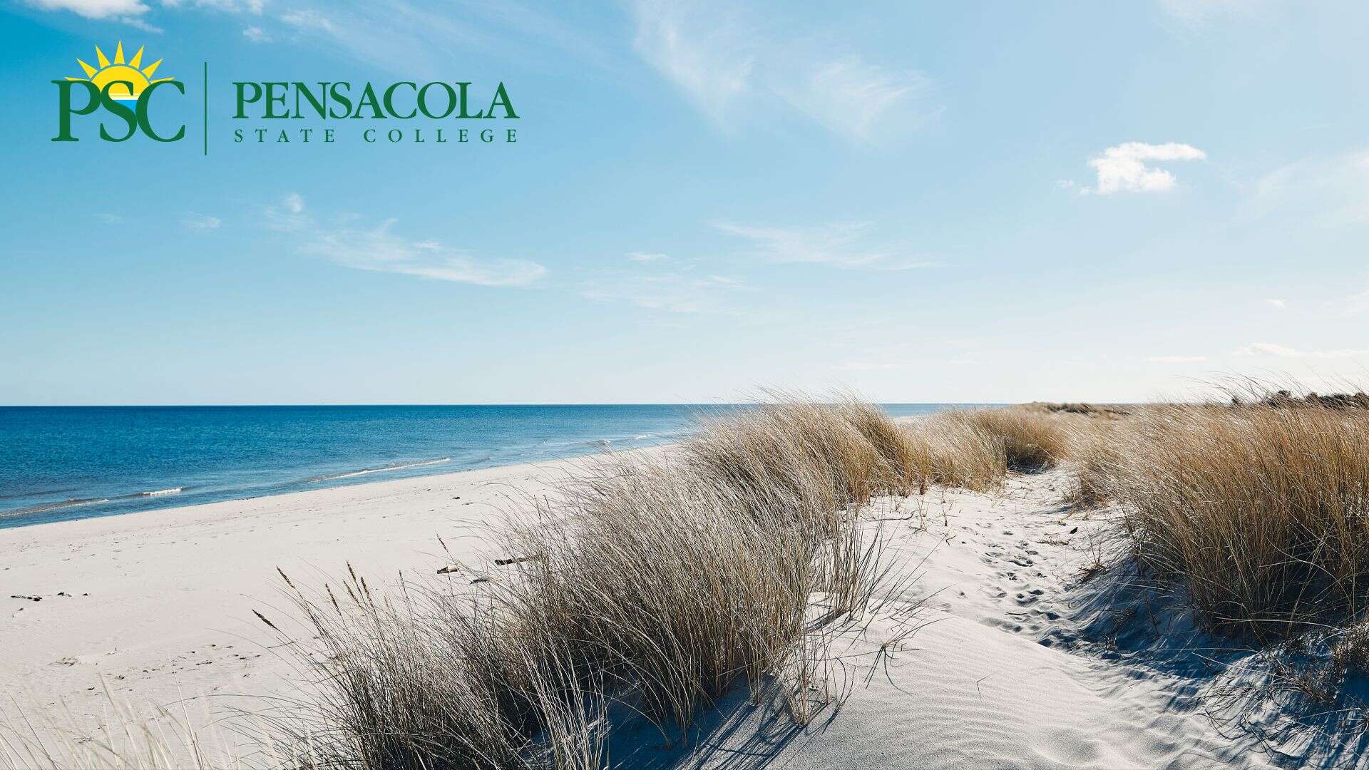 Beach dunes with grass at Pensacola State College, Florida, under a clear blue sky.