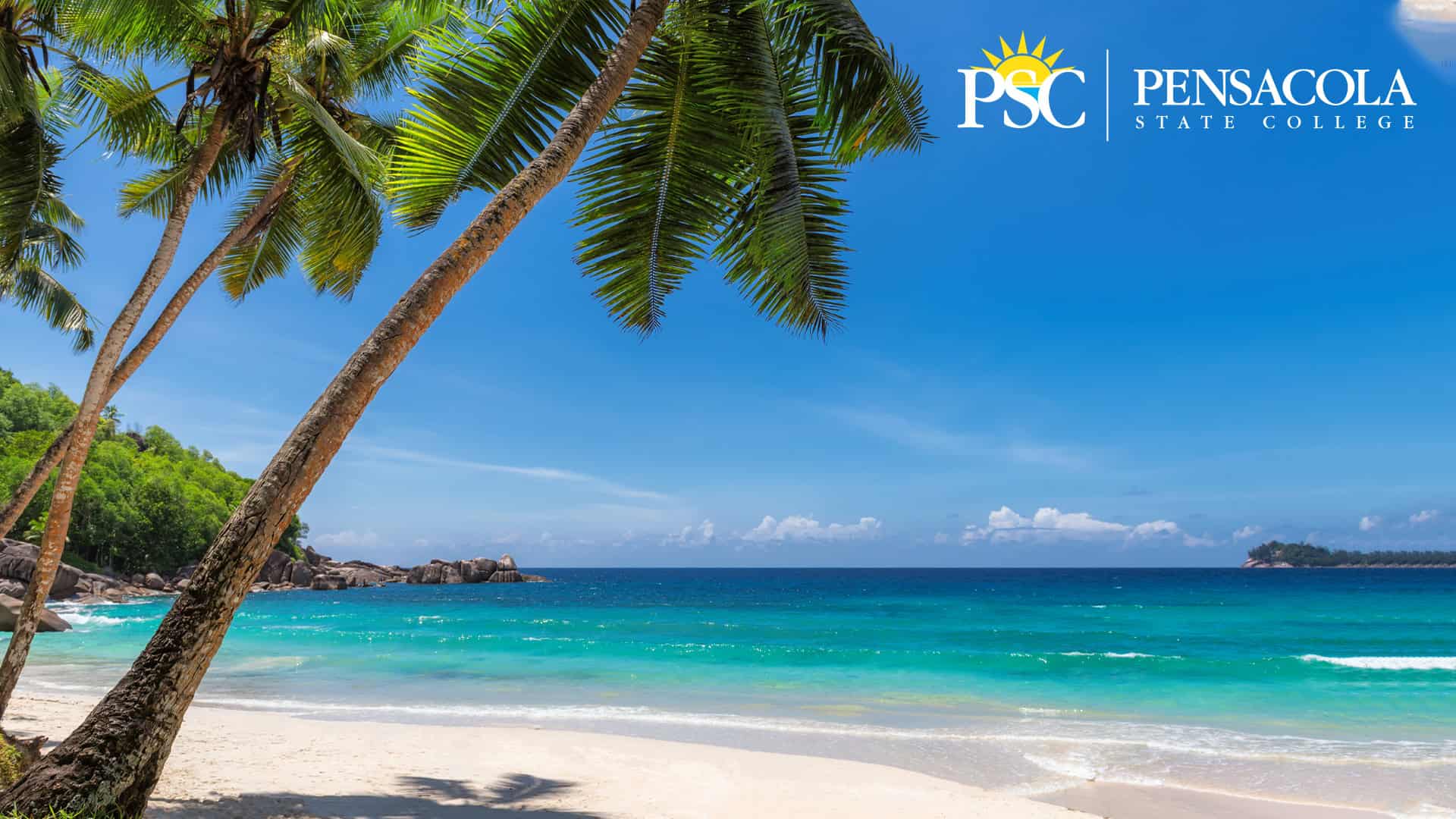Beach scene with palm trees and ocean view at Pensacola State College campus.