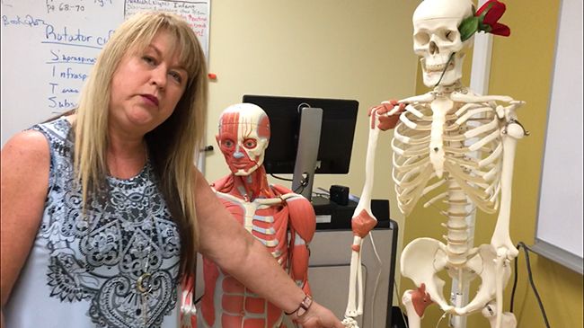 Detailed anatomy models used in Pensacola State College&rsquo;s Massage Therapy program for hands-on learn.