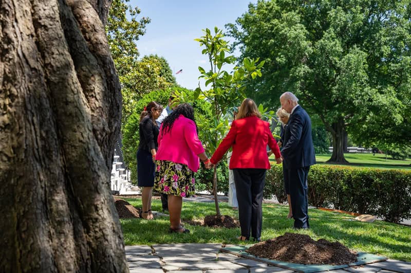 Tree planting ceremony with university officials and First Lady on White House Lawn on Memorial Day.