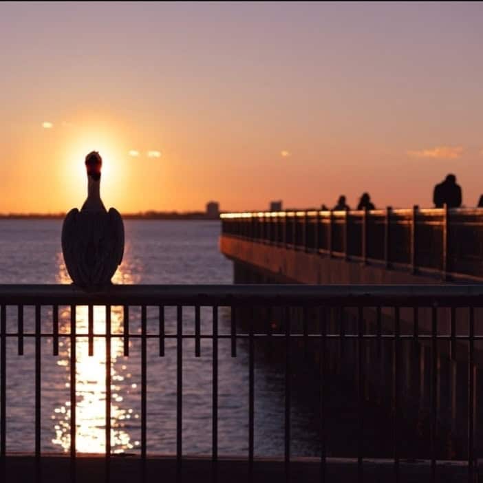 Sunset over Pensacola Bay with sculpture on pier, contest winners, scenic waterfront, beautiful even.