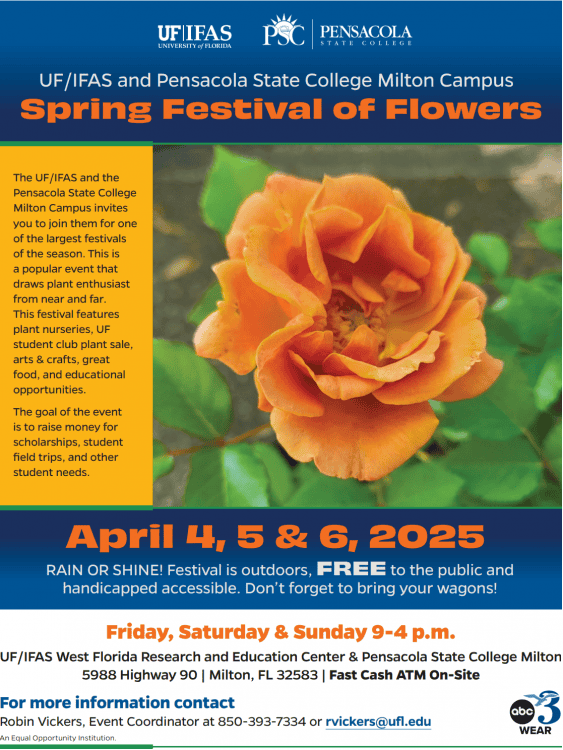 Bright orange flower at the Spring Festival of Flowers event.